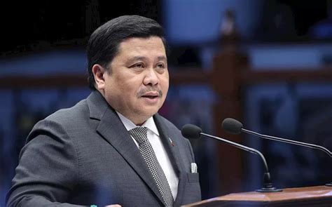 Jinggoy floats Alice Guo’s 'relationship' with POGO.